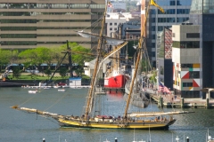 BmoreIHtallshp_1400