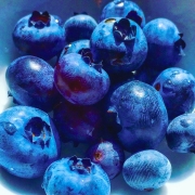 blbrs_1248