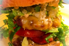 DLBbigmac_1148