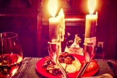 MamaCatDinner_1170