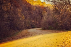 CountryRdNMnkto_1400