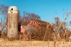 country7