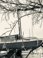 BlueBlkWhtSailbt_900