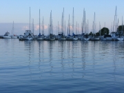 ByfldSlBts_1600