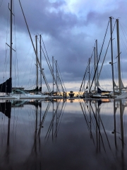 SstrBayReflex_1424