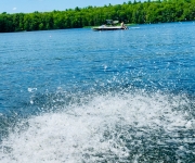 WIlkBtSpra_1187