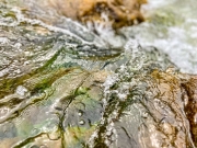 Waters_1182