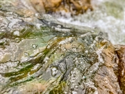 Waters_1232
