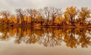 YellowFallMNriver_1680