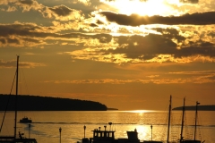 ByfldGldSnrs_1600