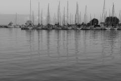 ByfldSlBtsBnW_1800