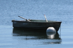 RwBt_1800
