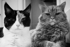 4F0BE8BB-D567-49D2-8927-EBB0D74F67FA-scaled