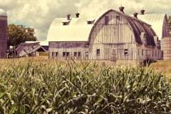 DC4D7CCF-3598-4596-A654-87423B10F9D0