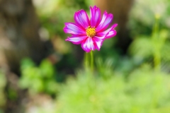 IMG_1041-scaled