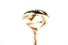 Martini_iii_1900