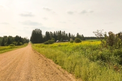 MileRd_1600