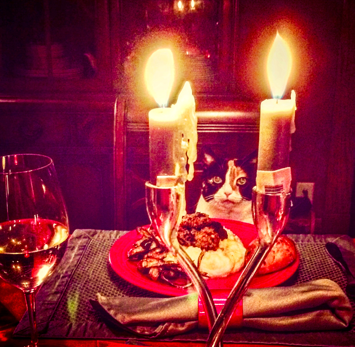 Calico cat sitting in a chair at dining room table with plate of food, wine and candles