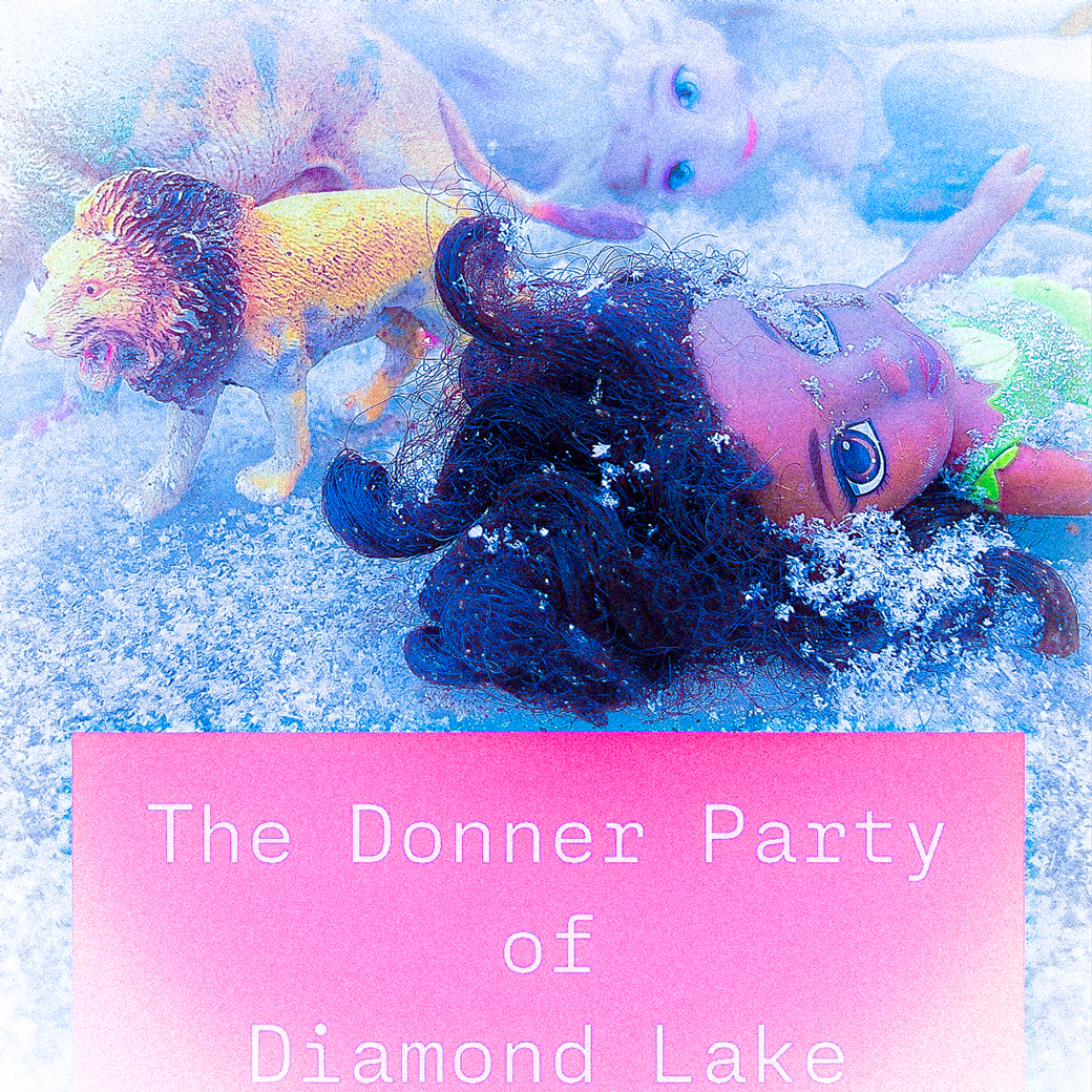 Donner Party of Diamond Lake - snow covered toys