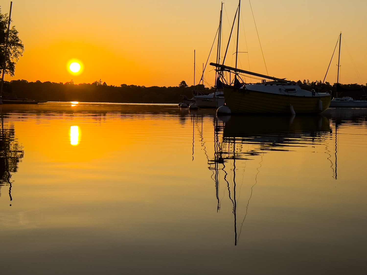 They Call Me Eeyore – a poem; or, For Broken